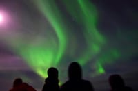 Reykjavík Whales & Northern Lights 5