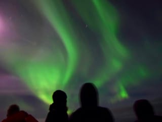 Reykjavík Whales & Northern Lights, photo 6