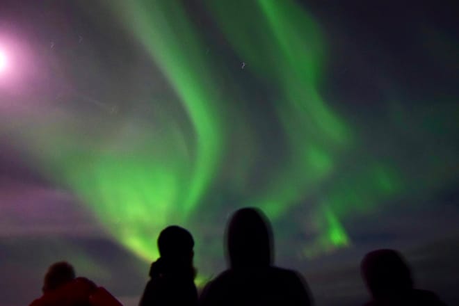 Reykjavík Whales & Northern Lights 5
