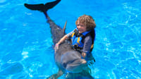 Encuentro con Delfines + Parque Acuático en Puerto Vallarta 2
