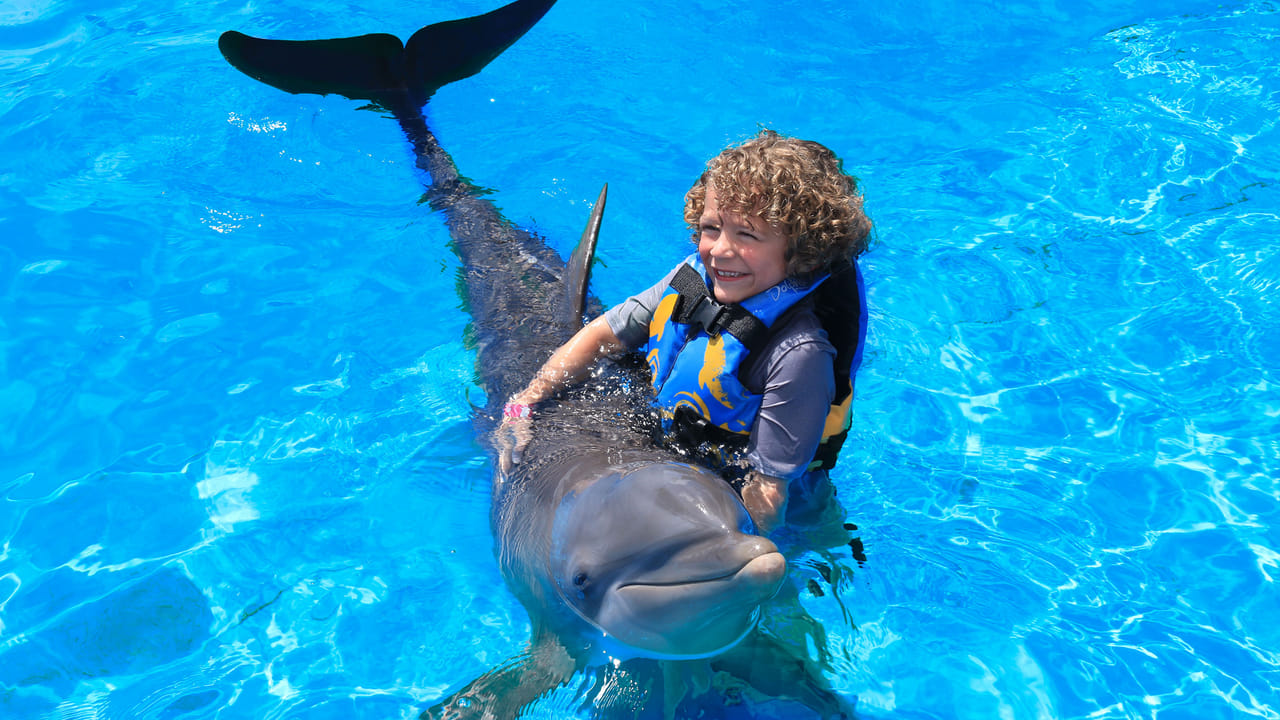 Encuentro con Delfines + Parque Acuático en Puerto Vallarta 2