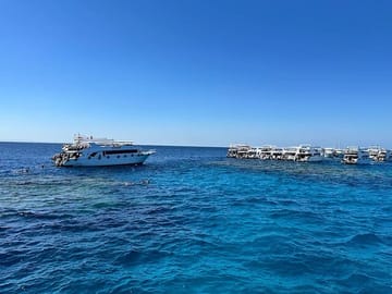 VIP Ras Mohammed and White Island Cruise with Seafood Lunch