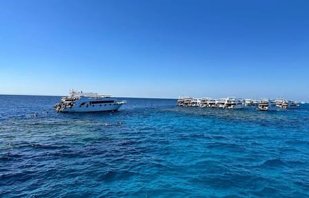 Ras Mohammed & White Island VIP Cruise with Seafood Lunch