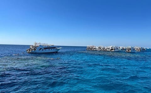 VIP Ras Mohammed and White Island Cruise with Seafood Lunch