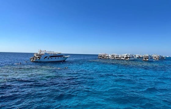 Ras Mohammed & White Island VIP Cruise with Seafood Lunch