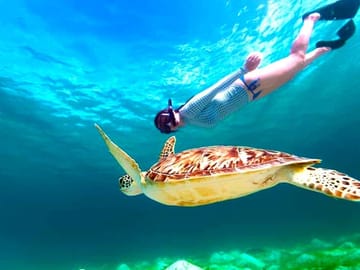 Marsa Alam Snorkelling Day Trip To Hamata Island By VIP Boat