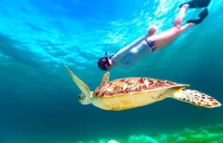 Snorkeling Day Trip to Hamata Island from Marsa Alam
