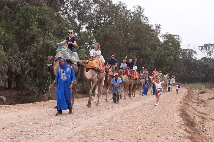 Explore Agadir on Half day & Sunset Camel ride with BBQ Dinner