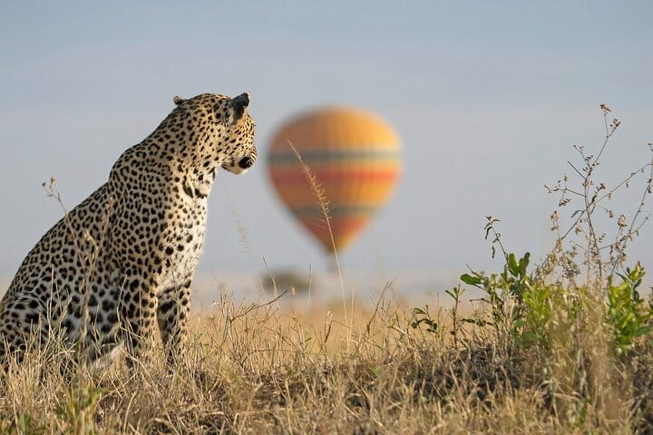 2-Day Masai Mara Safari with Game Drives