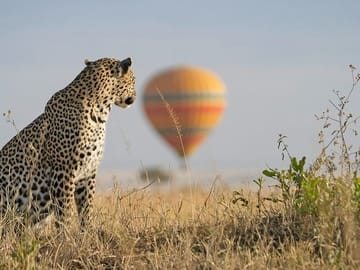 3 days 2 nights budget safari to Maasai Mara National Reserve
