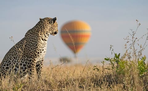 3 days 2 nights budget safari to Maasai Mara National Reserve