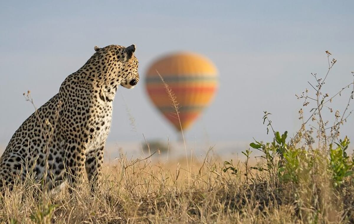 3 Days 2 Nights Maasai Mara Group Safari by 4WD From Nairobi