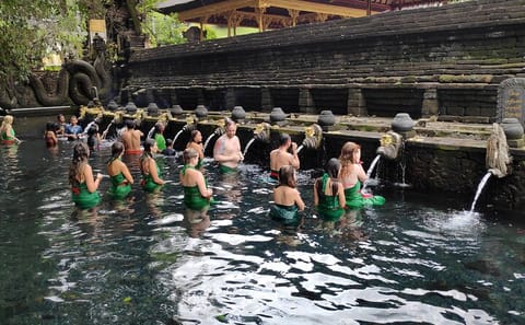 Rice Terraces, Temples, and Waterfall Tour from Ubud