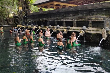 Rice Terraces Sacred Temples and Waterfall Tour from Ubud