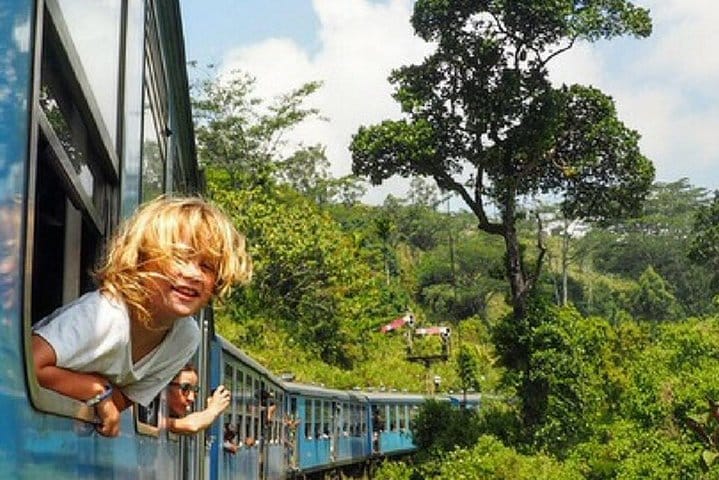 Family Getaway With Kingfisher Tours | 8 Days