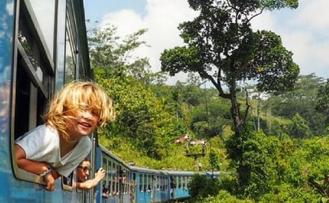 Family Getaway With Kingfisher Tours | 8 Days