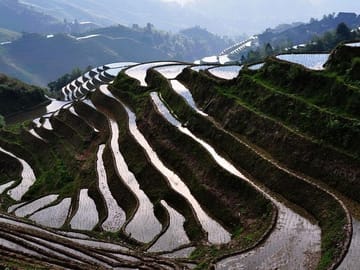 Longshen rice terraces