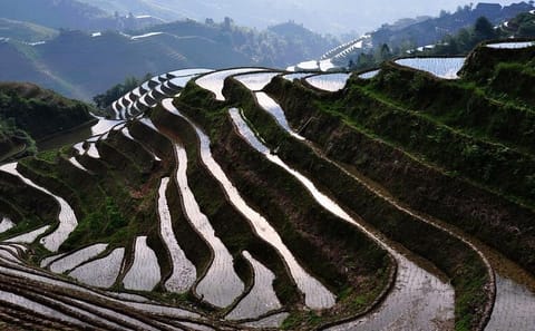 Guilin Li River Cruise and Longji Rice Terraces Tour