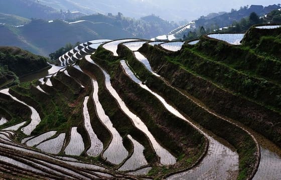 2 Days Classic Guilin Li River and Longji Rice Terraces Tour