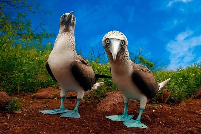 Things to do in Ecuador