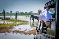 Yala Safari Tour from Nuwara Eliya  6