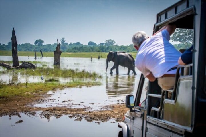 Yala Safari Tour from Nuwara Eliya  6