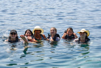 Sea Kayak Kardamili and Stoupa 7