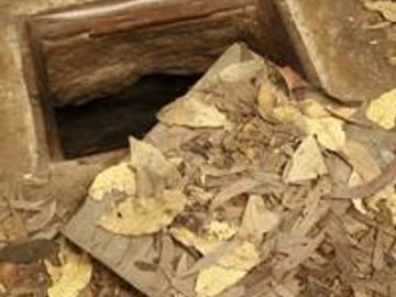Cu Chi Tunnels