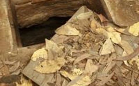 Small-Group Tour of Ho Chi Minh City Including Cu Chi Tunnels