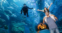 aquarium tickets dubai