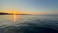 Palermo: Romantic Sunset Private Sailboat Tour with Dinner 3
