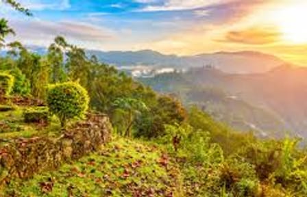 Wasgamuwa Sfari Tour – 03 Days