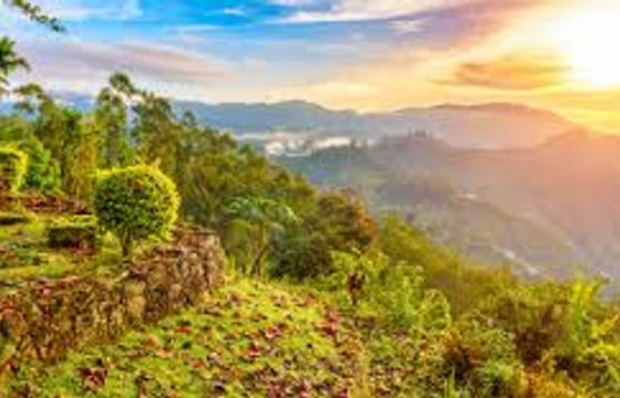 Wasgamuwa Sfari Tour – 03 Days