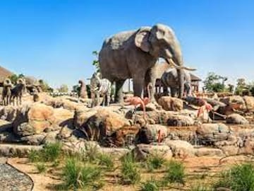 Dubai Safari Park Tour with Private Transfers Included