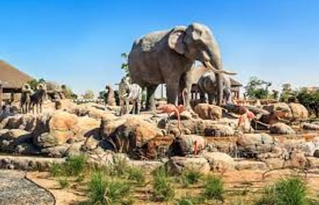 Dubai Safari Park Tour with Private Transfers Included