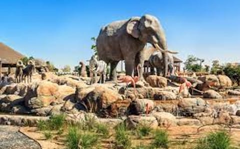 Dubai Safari Park Tour with Private Transfers Included