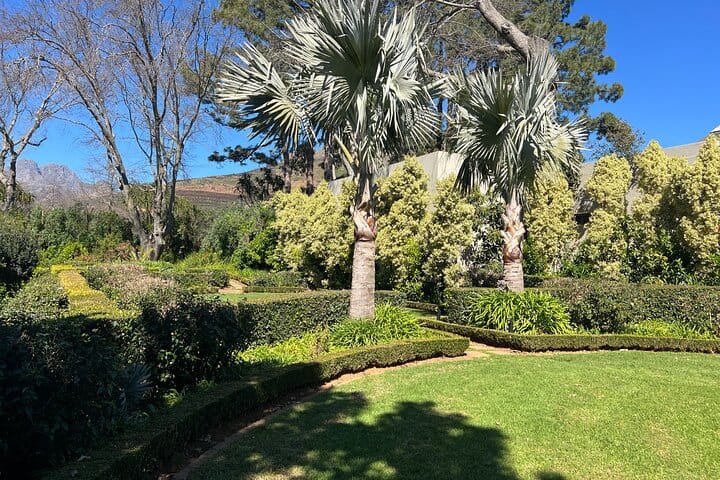 Giraffe Encounter and Lion Park with Wine Tasting in Stellenbosch