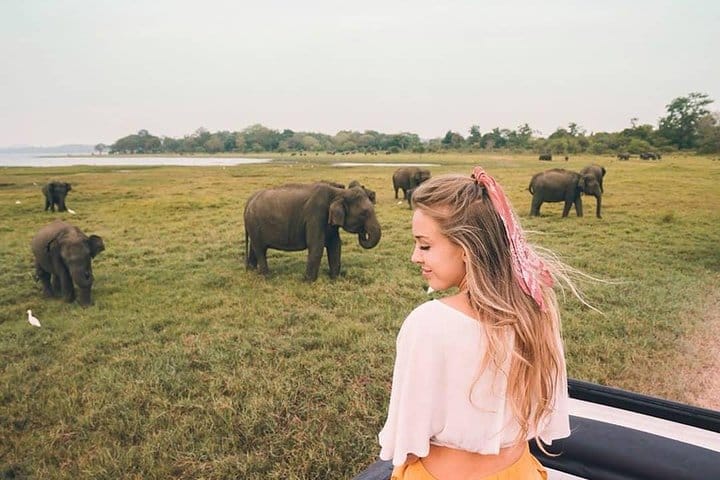 05 Days Glimpse Of Sri Lanka