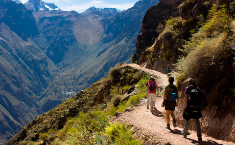 3-Day Colca Canyon Trek from Arequipa to Sangalle