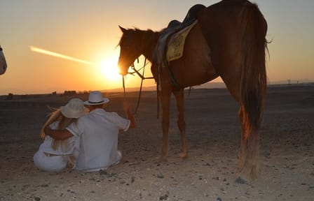 Horseback Riding Adventure on Beach and Desert in Hurghada
