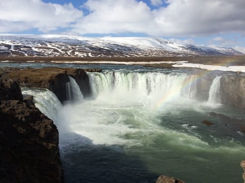 Goðafoss Waterfall and Akureyri Botanical Gardens, Shore Excursion, photo 3