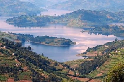 3 days Bwindi Gorilla Tour in Kampala