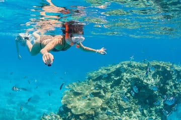 Ras Mohamed & White Island Snorkeling Cruise from Sharm El Sheikh