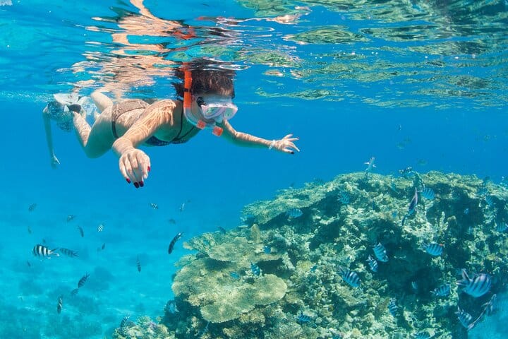 Ras Mohamed & White Island Snorkeling Cruise from Sharm El Sheikh