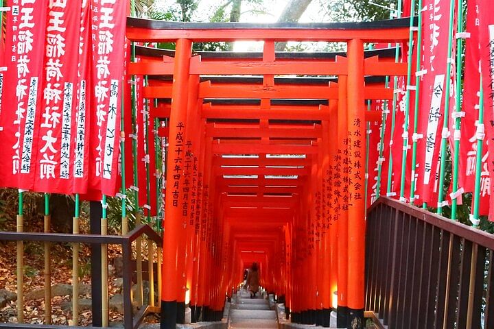 Small Group Walking Tour around Imperial palace and Hie Shrine