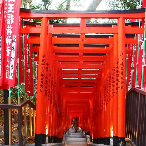 Small Group Walking Tour around Imperial palace and Hie Shrine