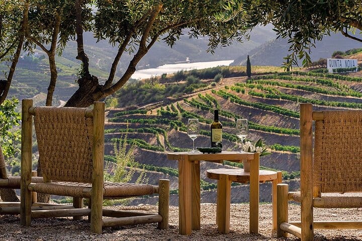 Douro Tour, Lunch at an Award-Winning Winery and Private Cruise