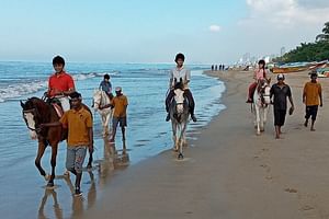 Half-Day Horse Riding in Kalpitiya