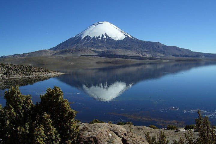 4-Days Unique Experience at the Chilean High Plateau 10