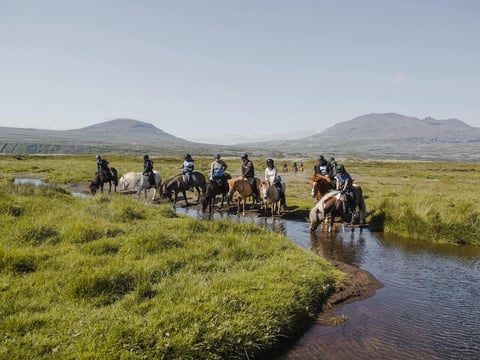 2,5h Trail Ride for Intermediate Riders